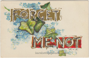 Forget Me Not pc1