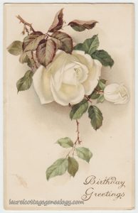 white-rose-birthday-greetings-pc1